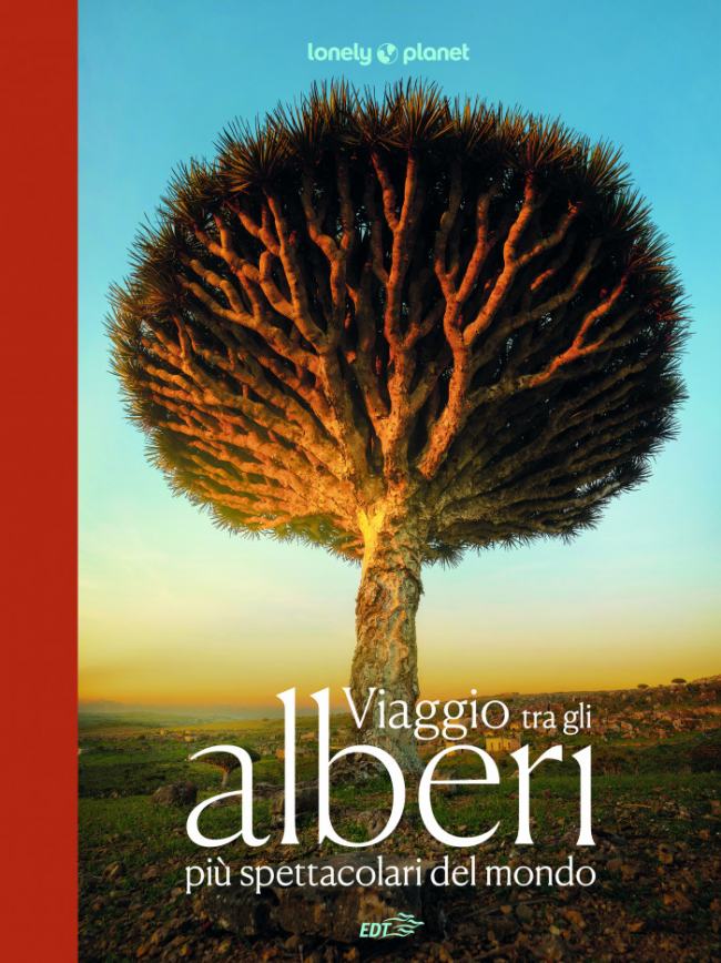 Viaggio tra gli alberi più spettacolari del mondo - Libro fotografico