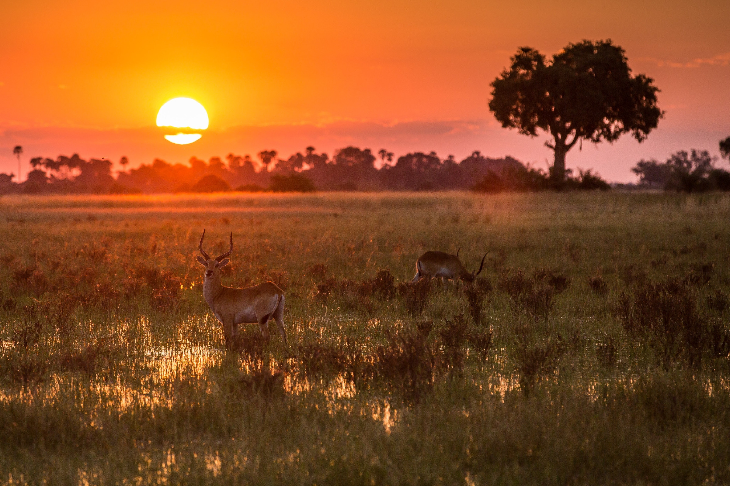 Africa © Deon De Villiers/500px