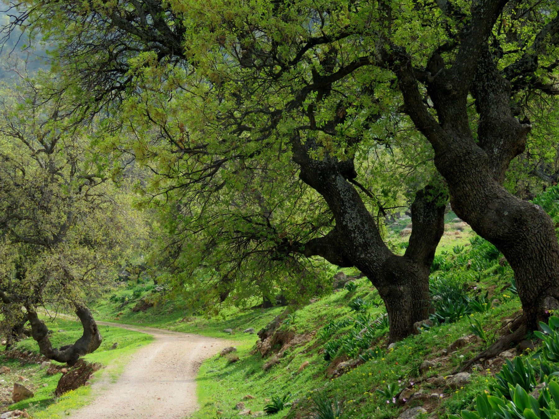 omardajani / Shutterstock