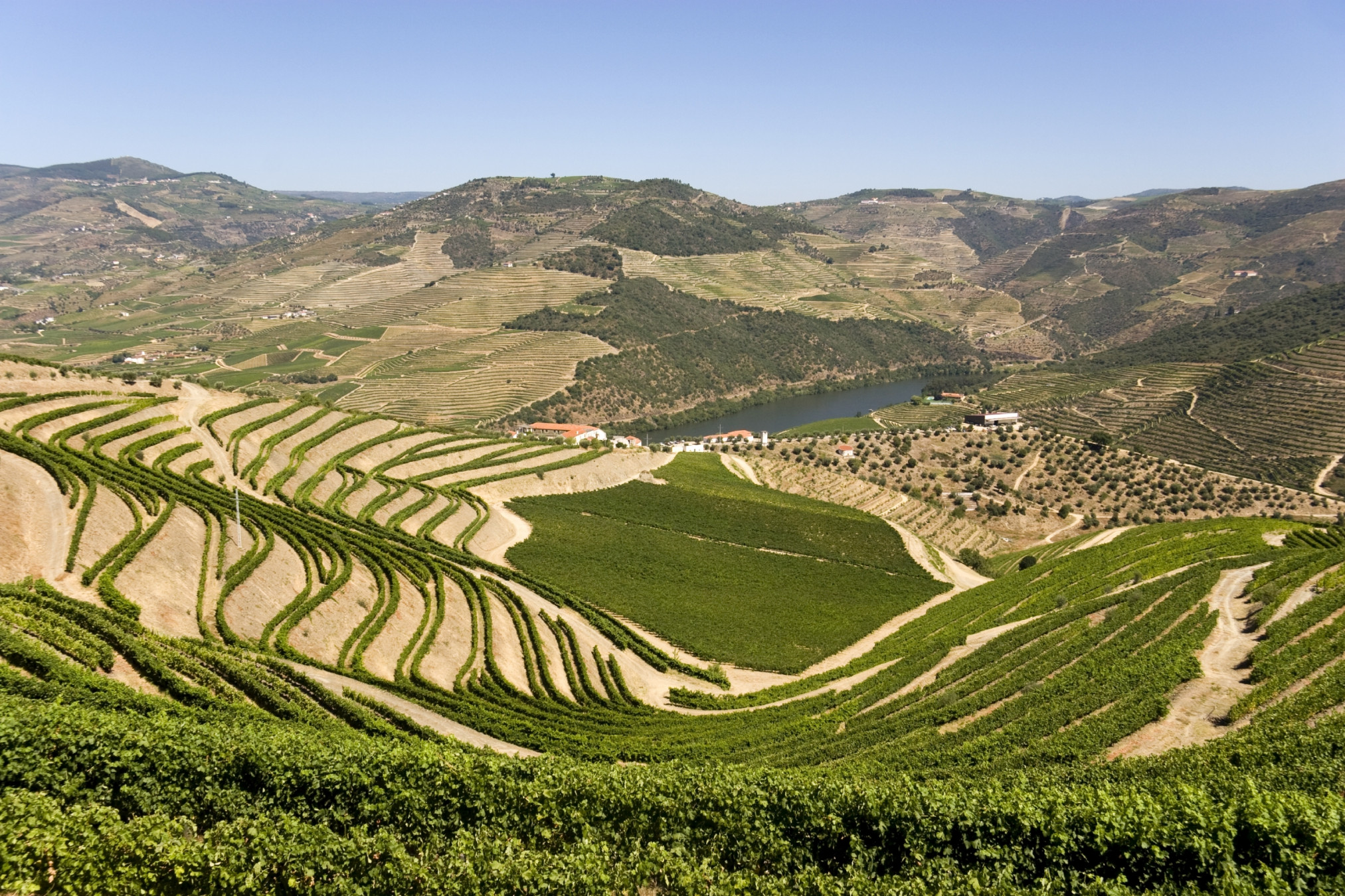 Alto Douro