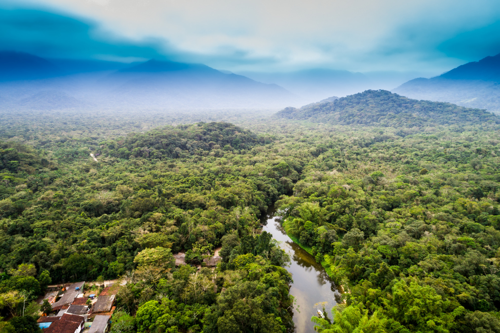 Gustavo Frazao/Shutterstock