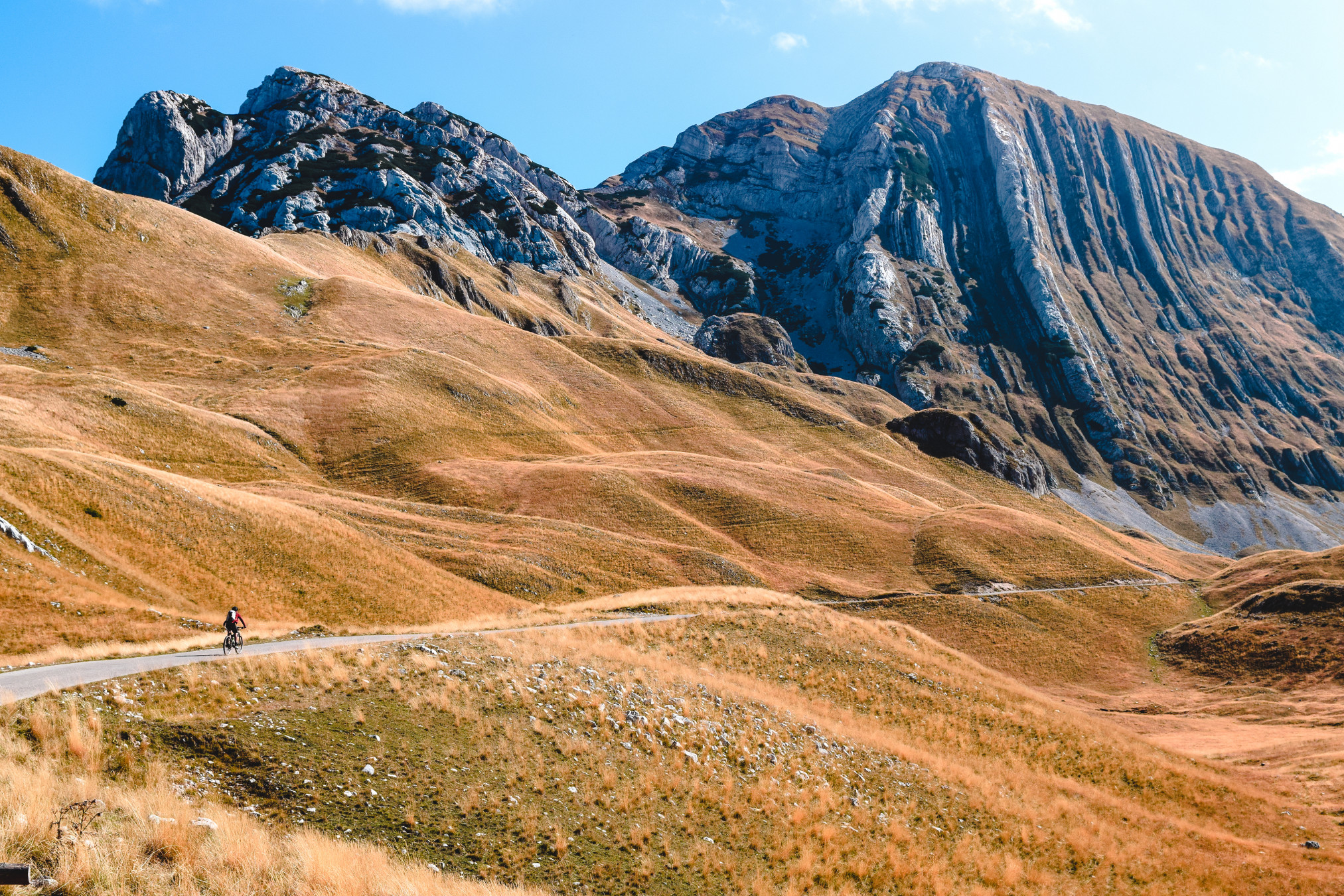 Noymes/Shutterstock