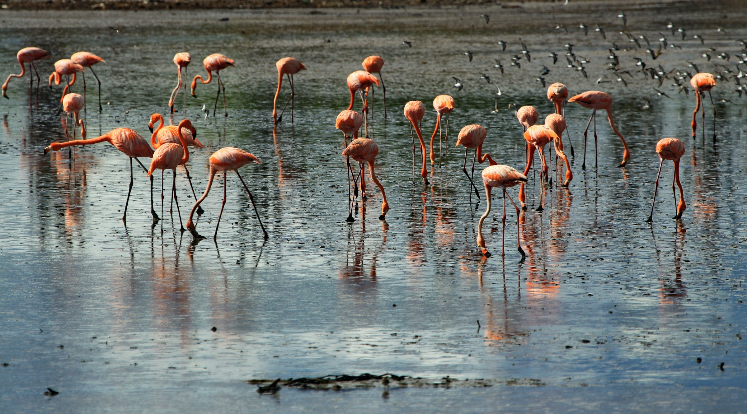 Bonaire