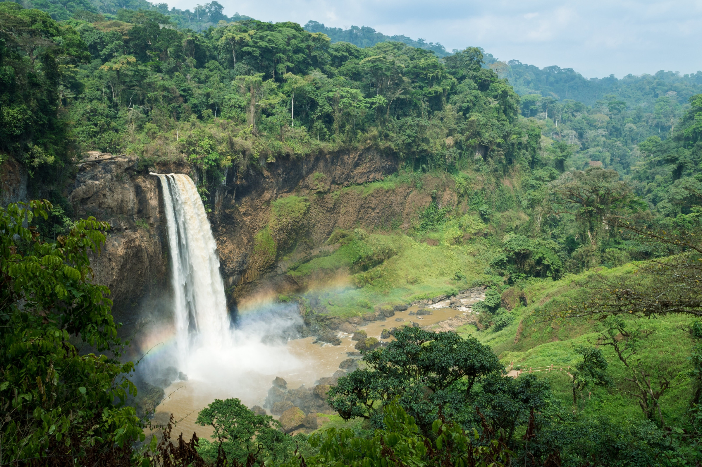 Camerun © antoineede / Getty Images