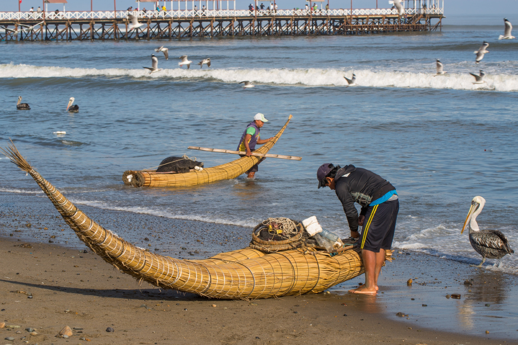 Chala, Perú: guida ai luoghi da visitare - Lonely Planet