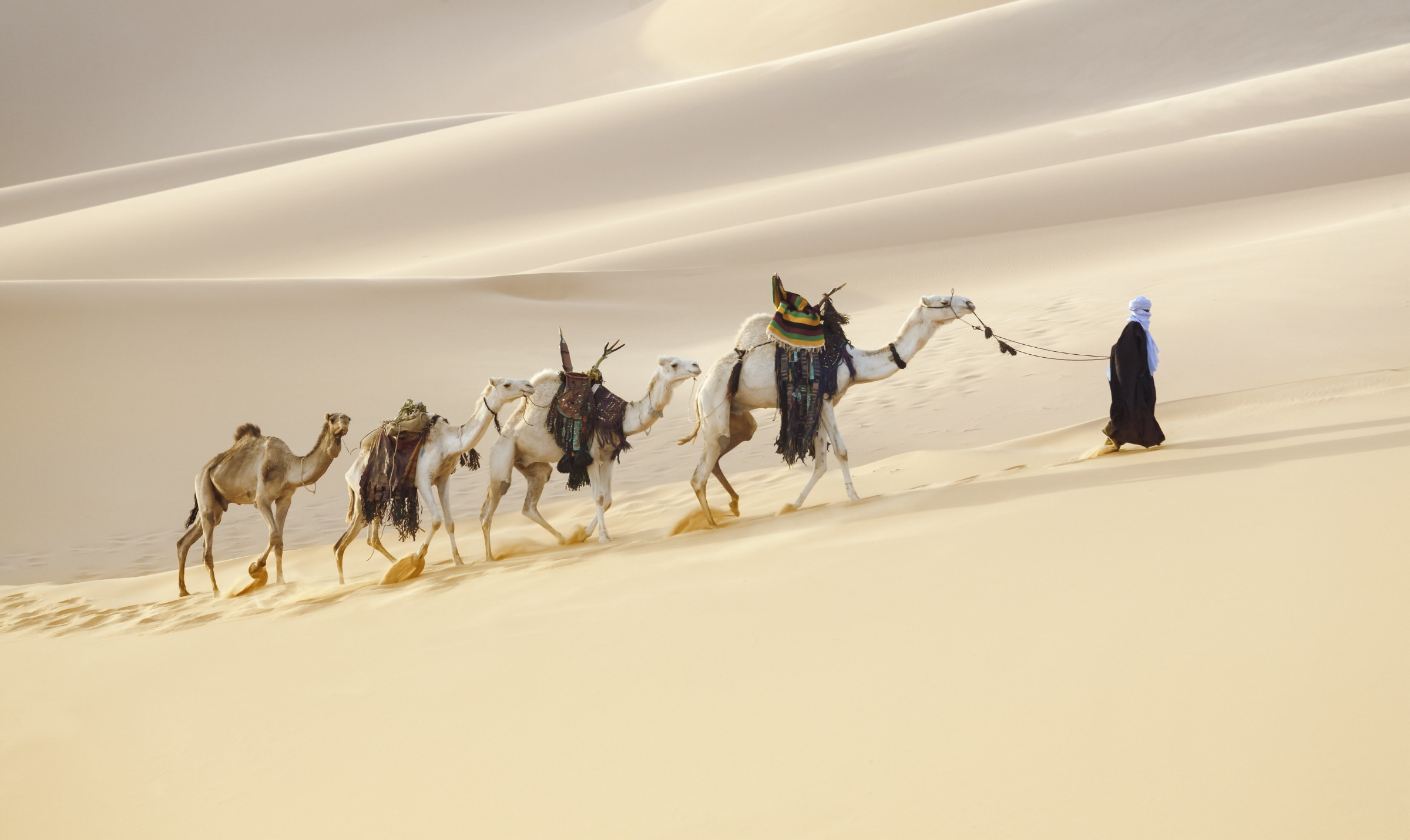 Eritrea © Denis Burdin / Shutterstock