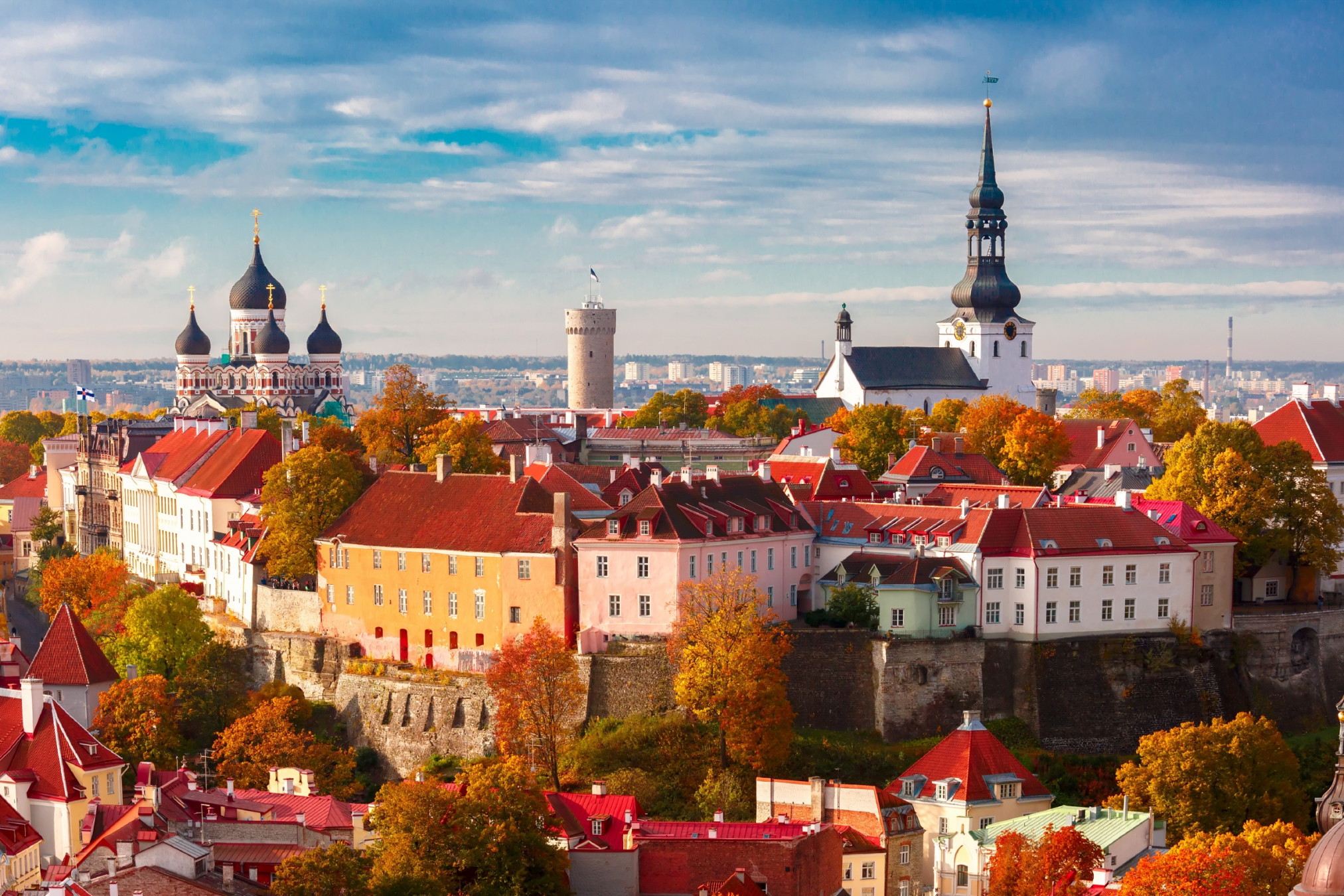 KavalenkavaVolha / Getty Images / iStockphoto