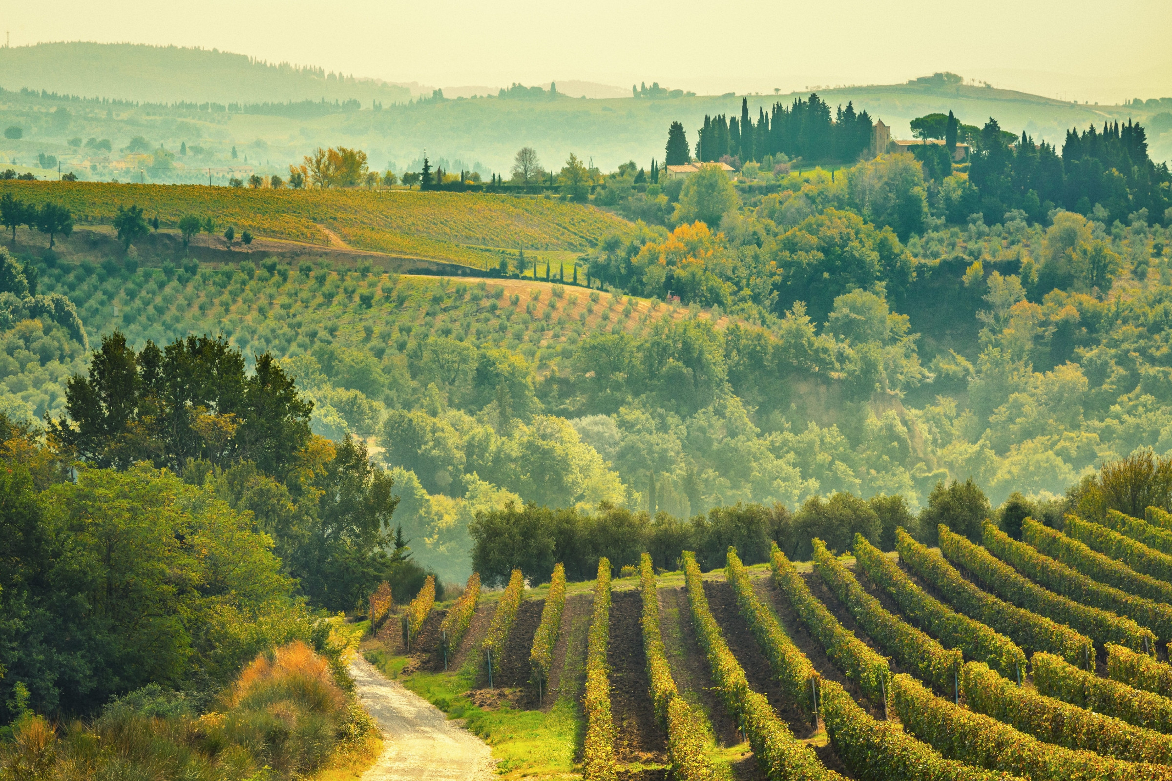 Europa © Peter Zelei Images / Getty Images