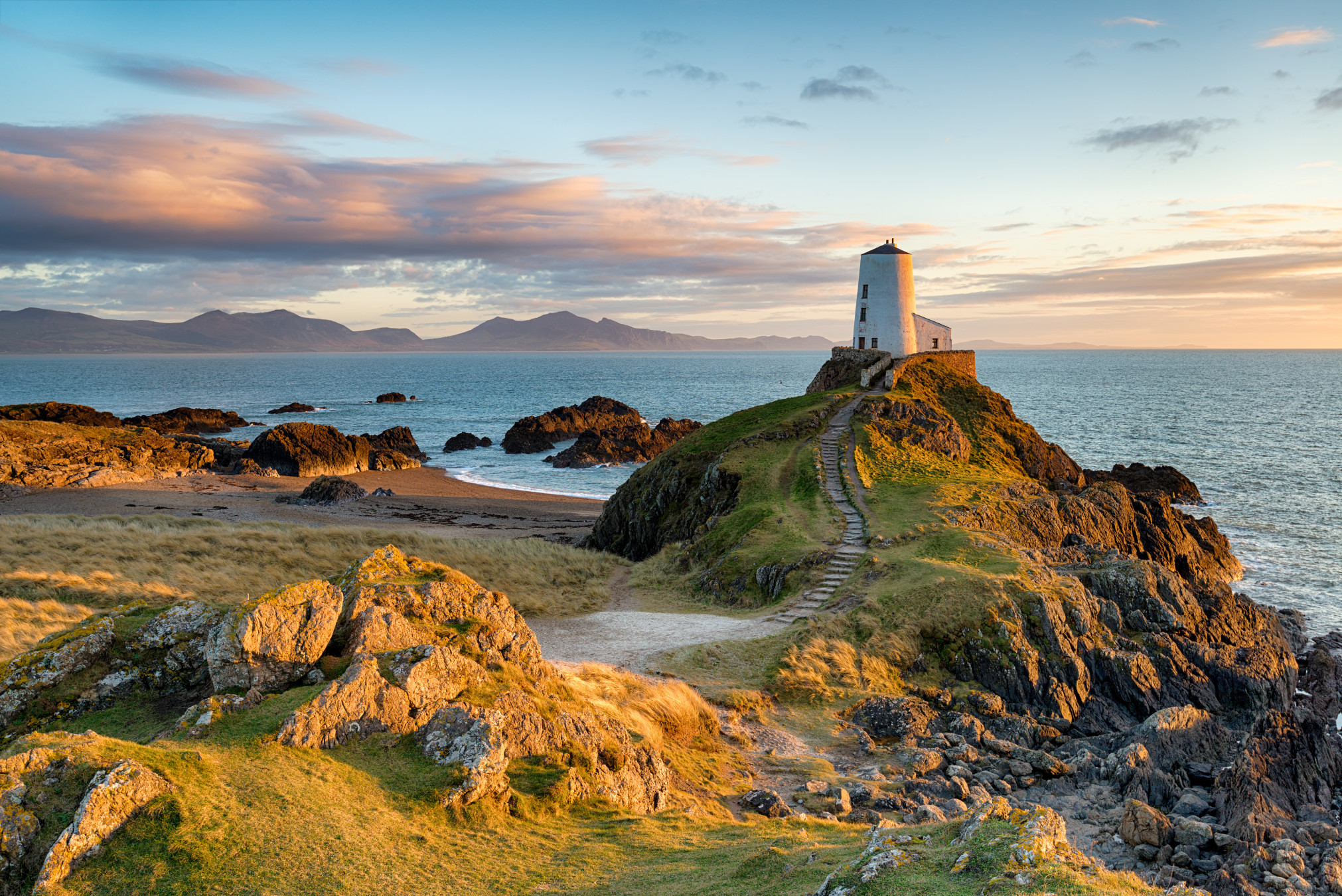 Helen Hotson/Shutterstock