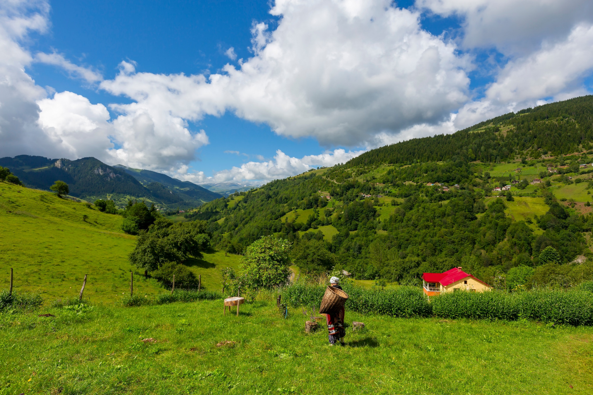 Kenan TALAS Shutterstock