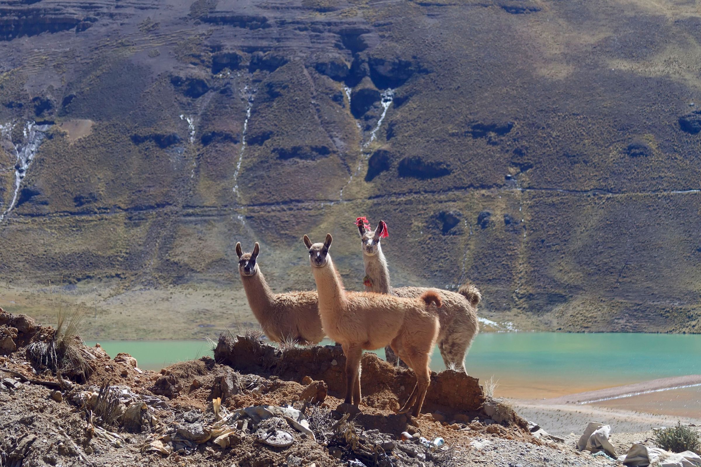 Huancayo, Perú informazioni per visitare la città Lonely