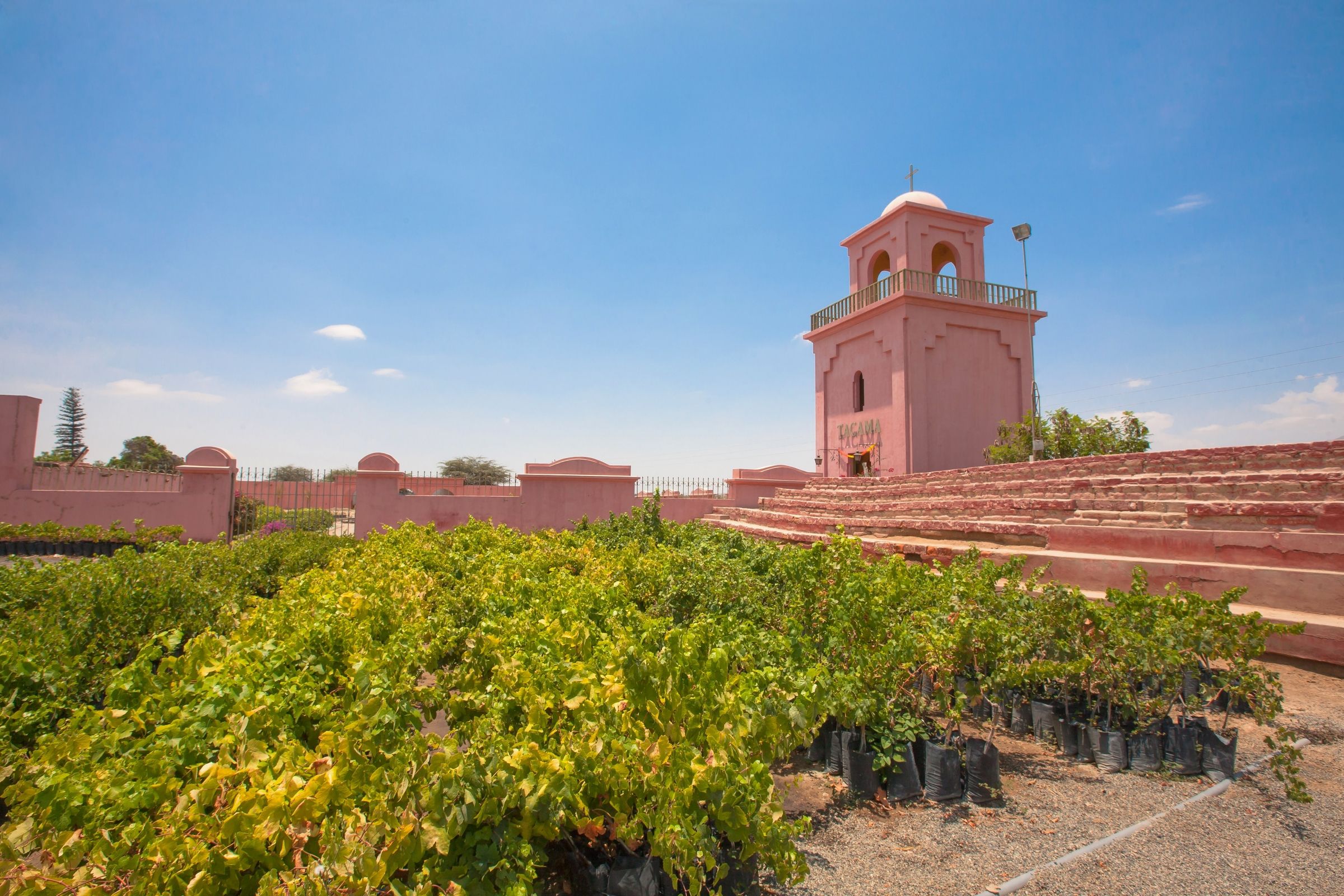 Ica Ica, Perú: guida ai luoghi da visitare - Lonely Planet