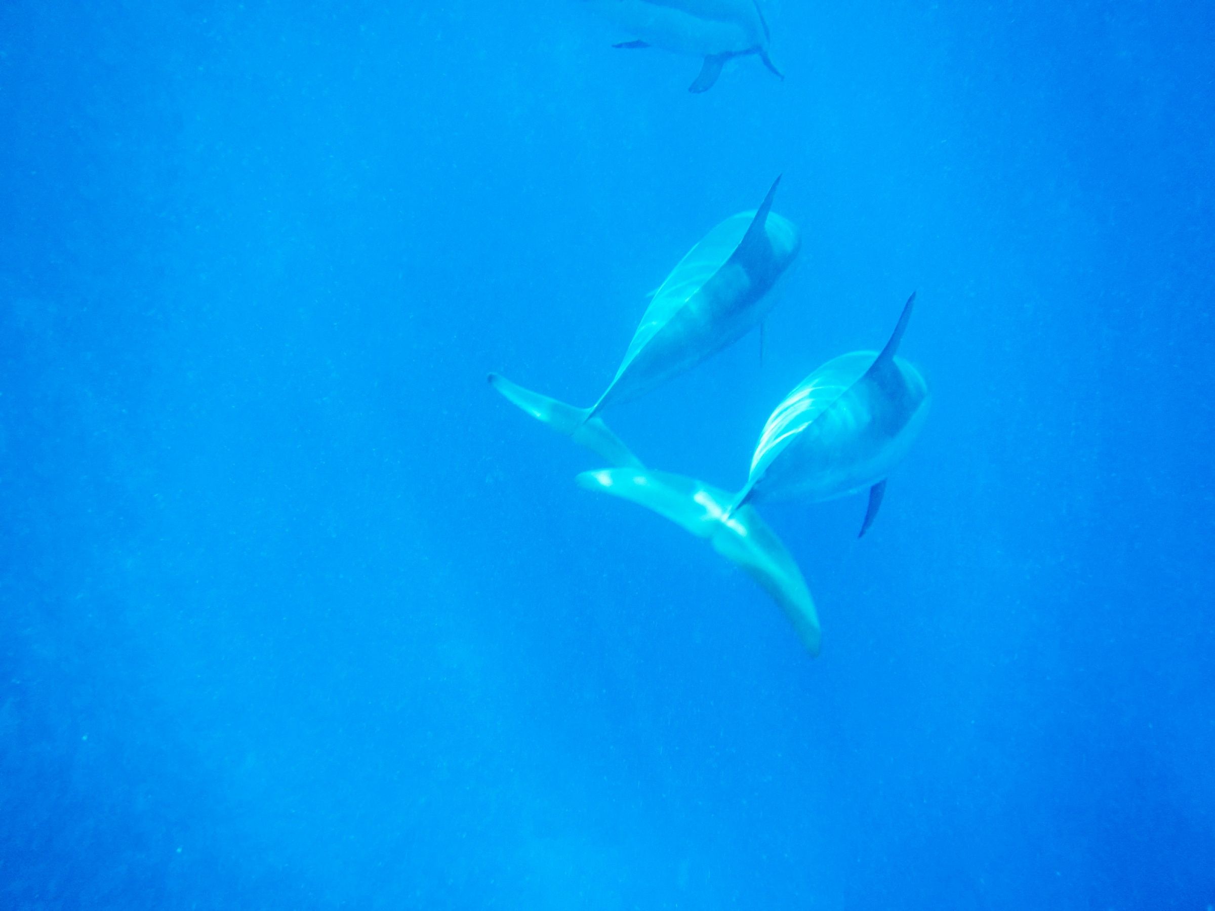 Isole Marshall informazioni e idee di viaggio Lonely