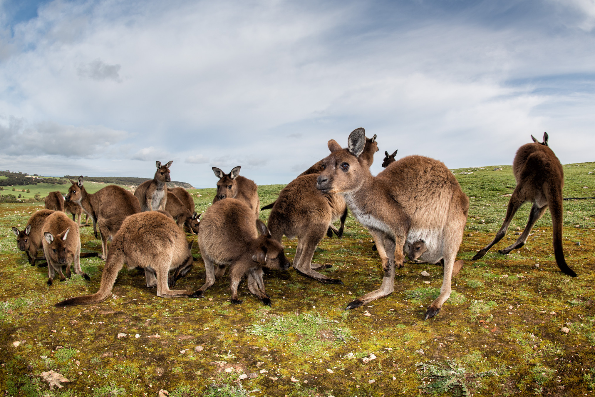 Andrea Izzotti/Shutterstock