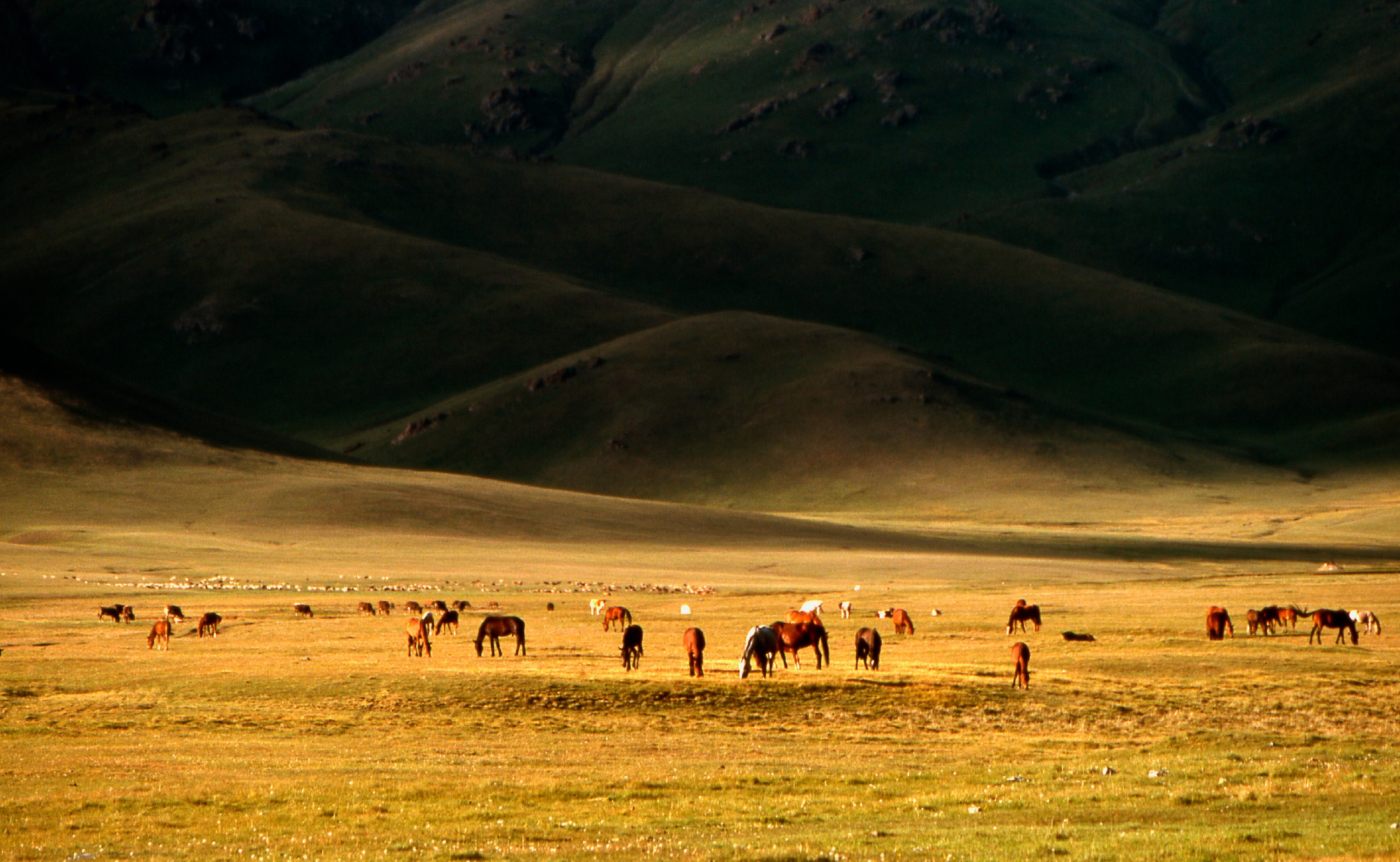 Kirghizistan