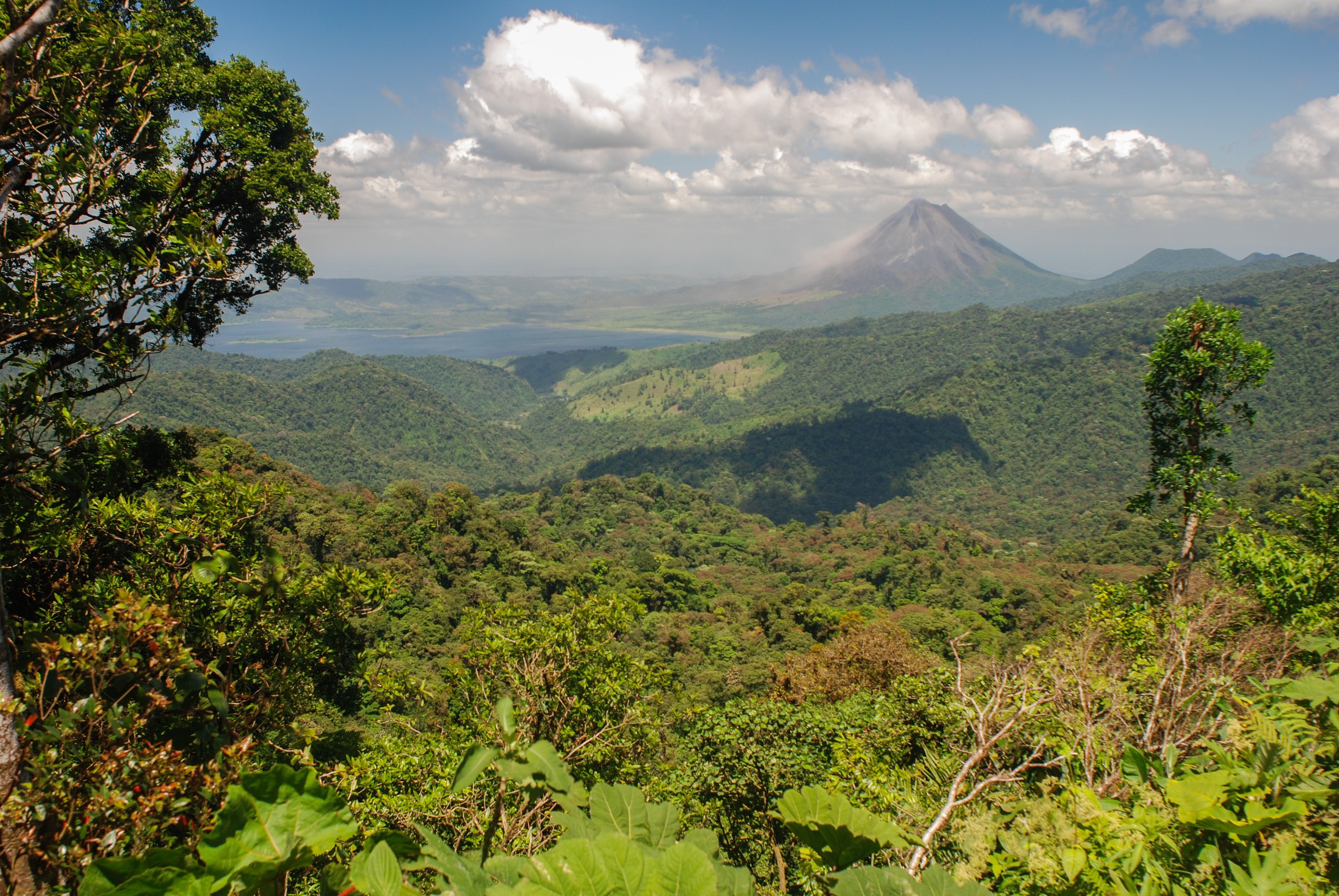 La Fortuna ©House Light Gallery - Steven Ho