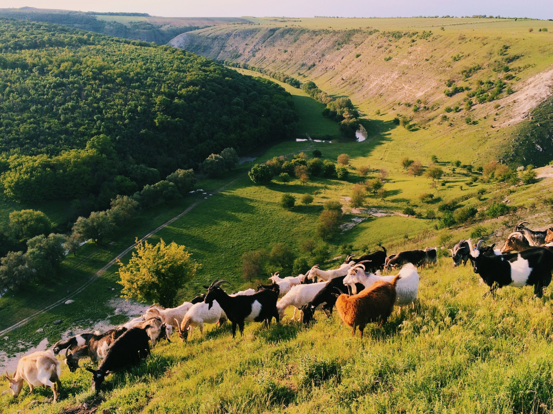 Moldova