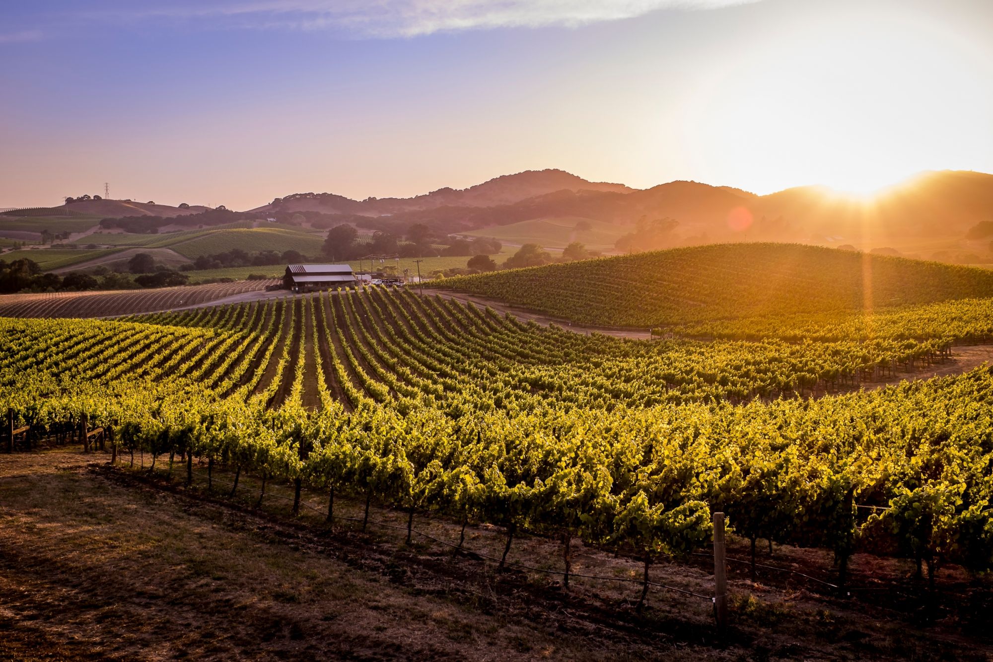 Napa Valley Stati Uniti: guida ai luoghi da visitare Lonely Planet Napa Valley Stati Uniti: guida ai luoghi da visitare Lonely Planet