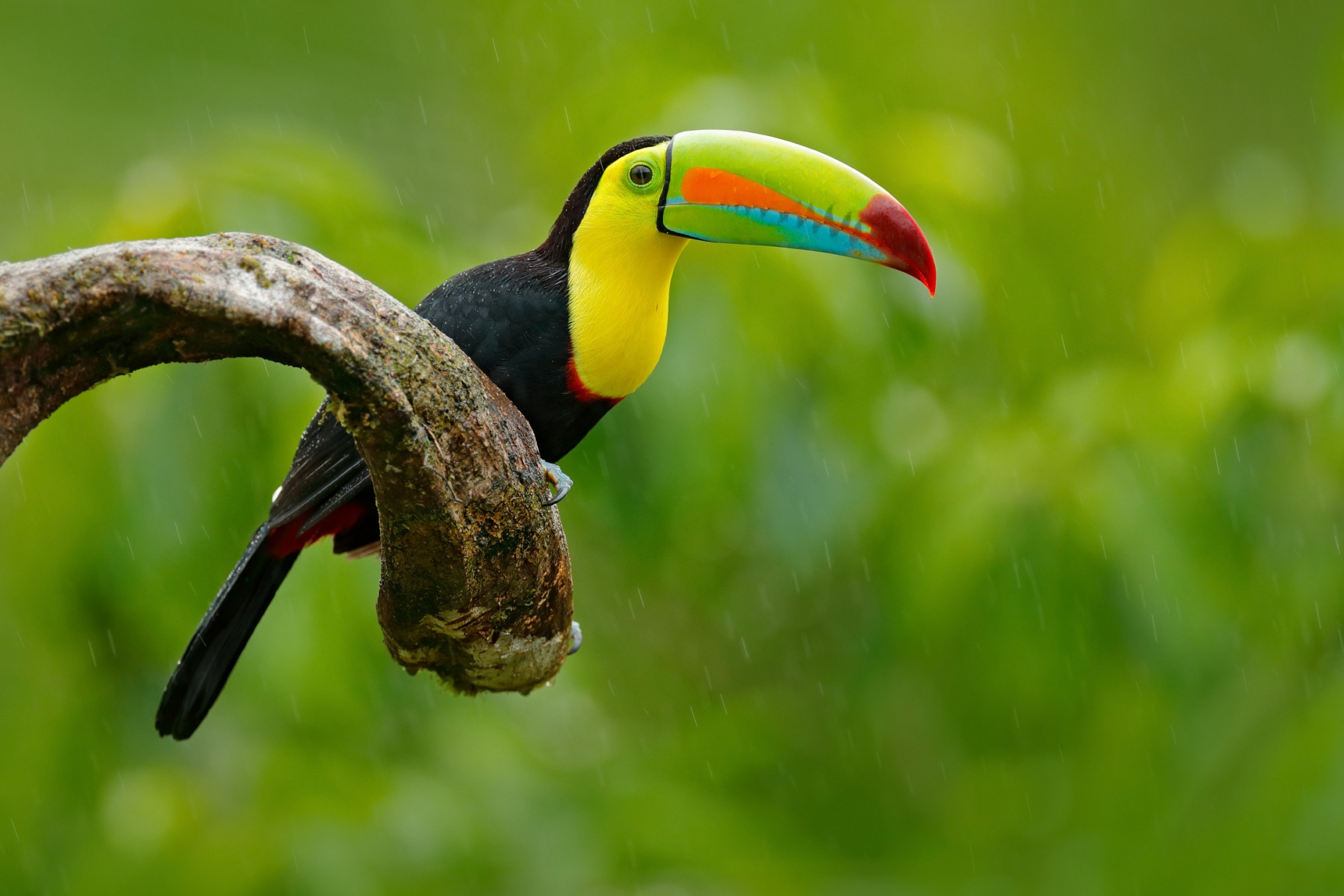 Nicaragua sud-occidentale
