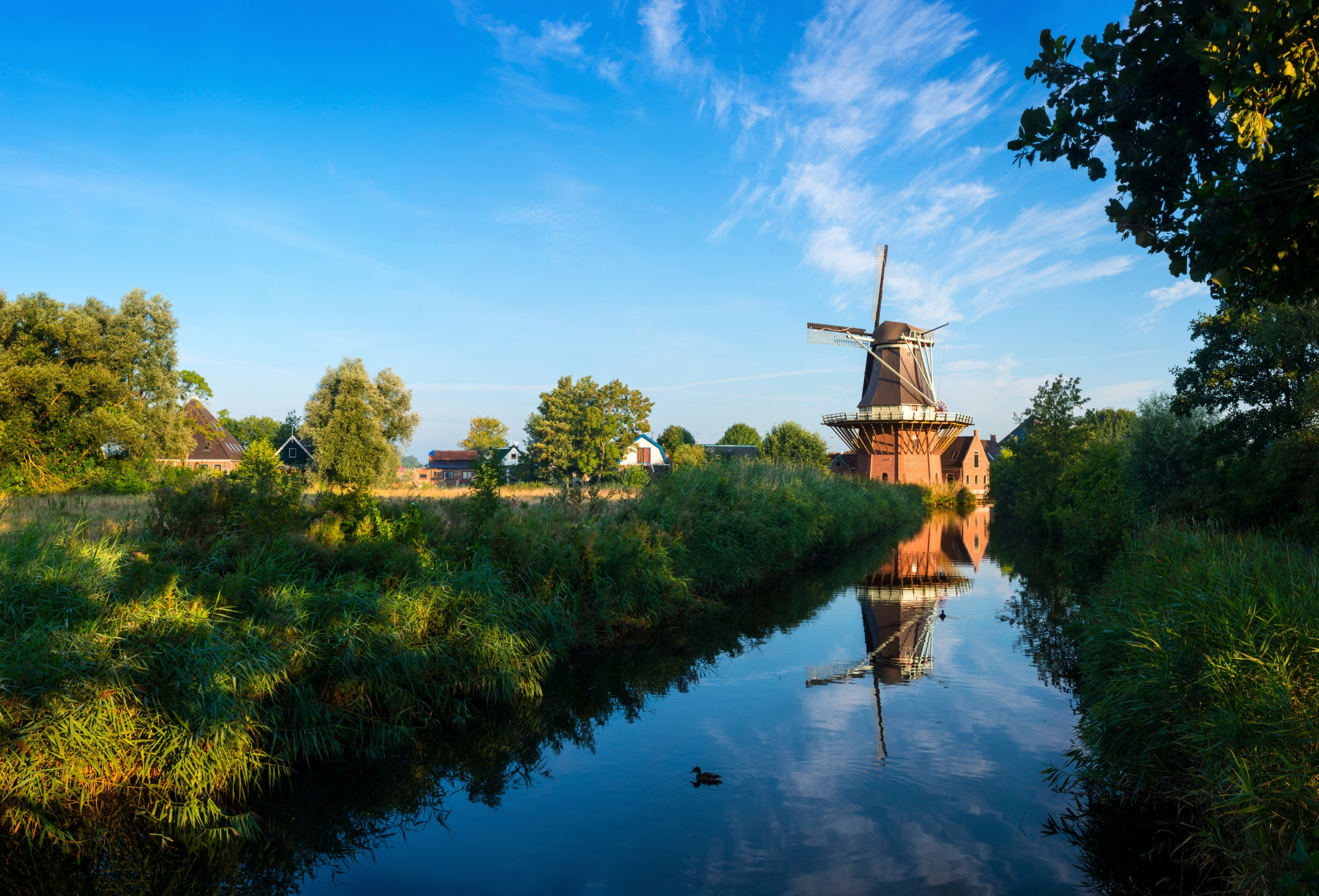 Olanda © JacobH / Getty Images