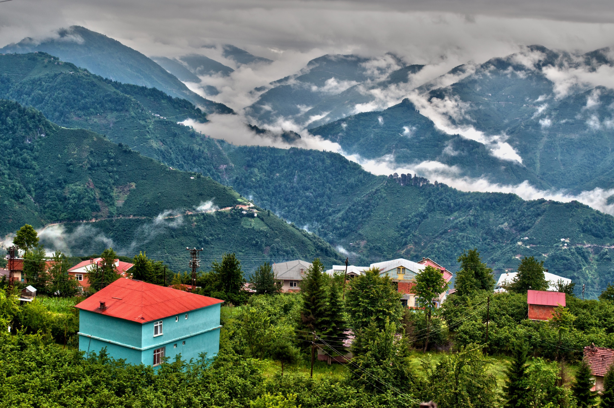 Sevda Ergen Shutterstock
