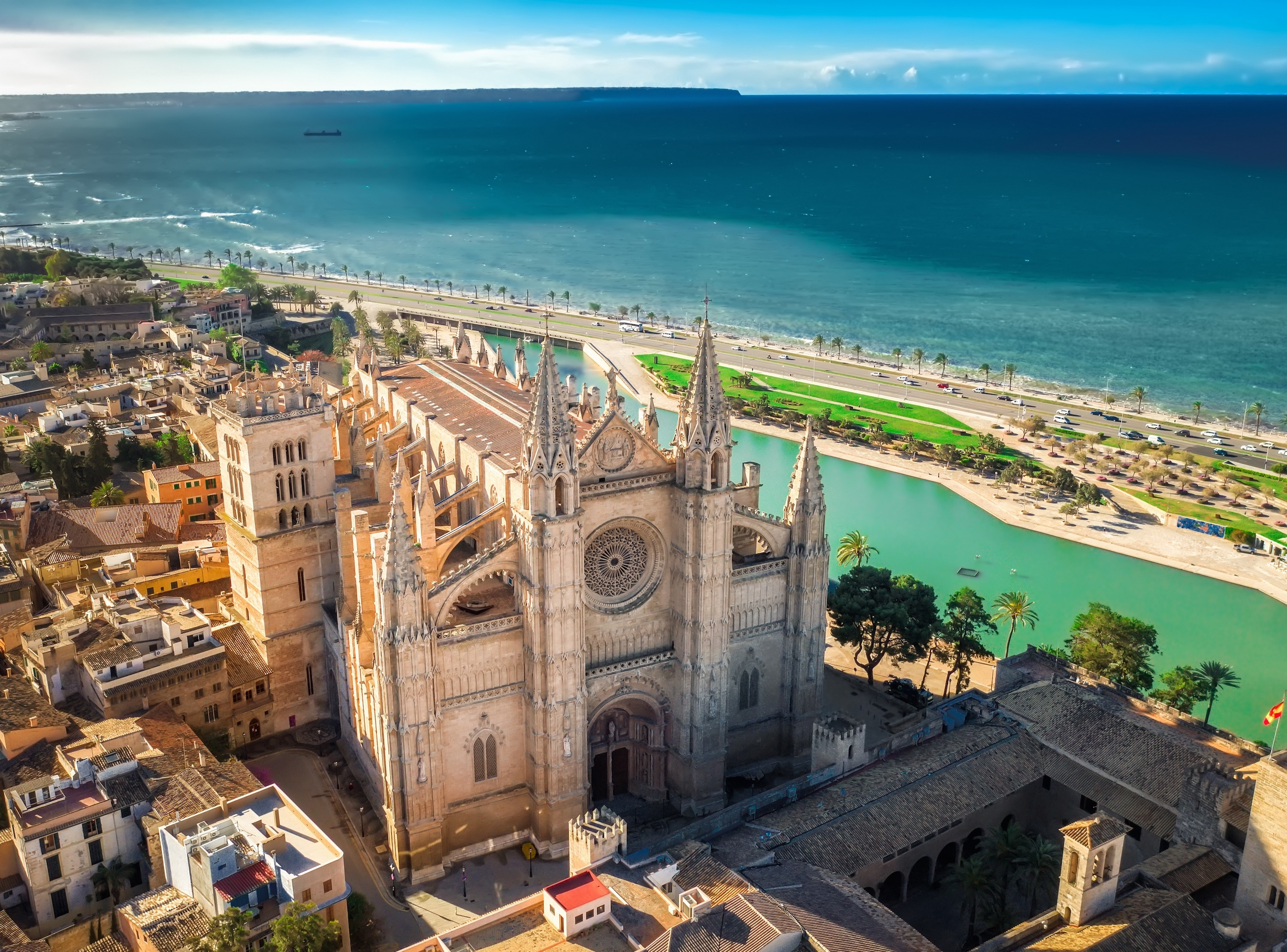 Palma Dishev Shutterstock