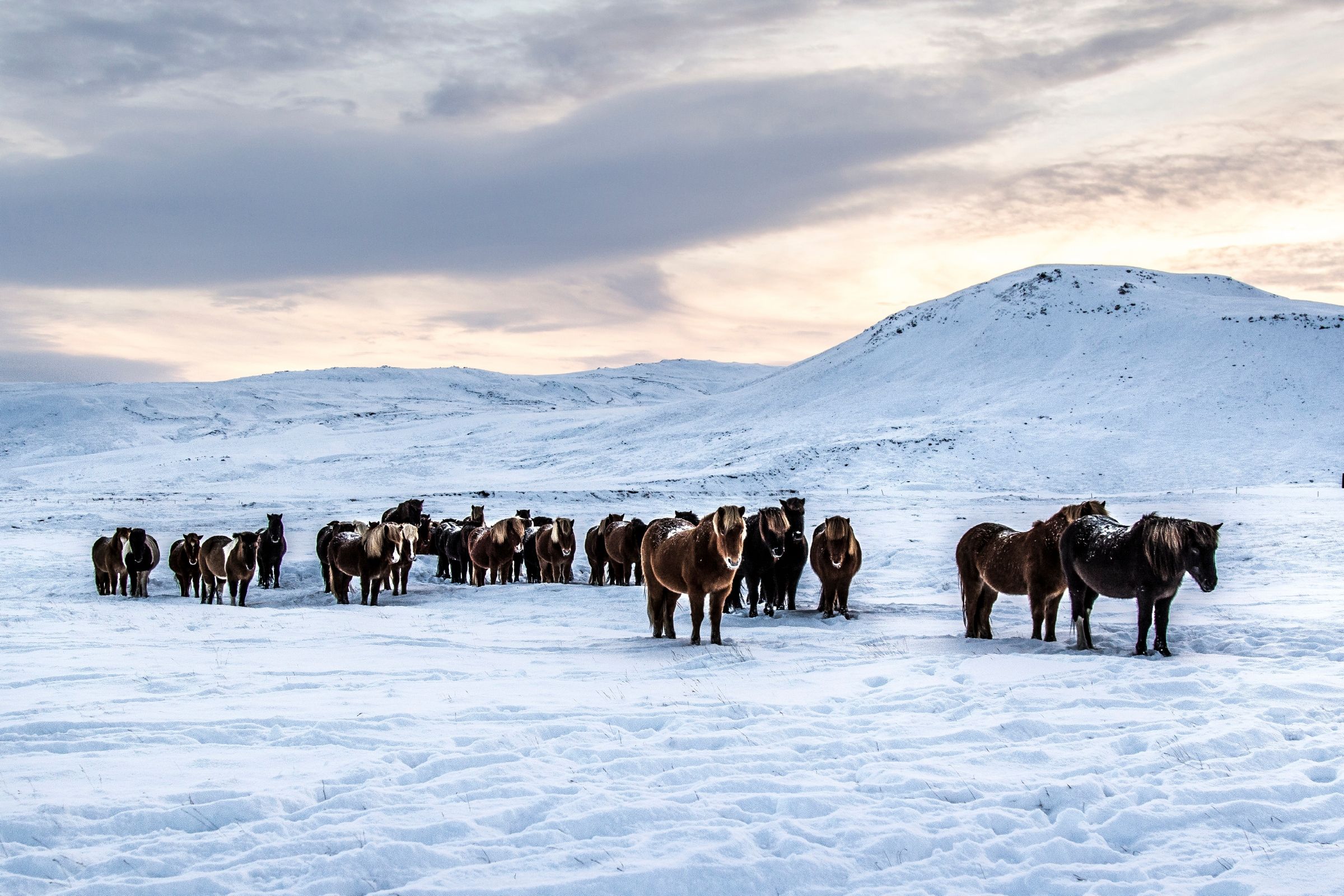 Penisola di Reykjanes, Islanda guida ai luoghi da visitare Lonely