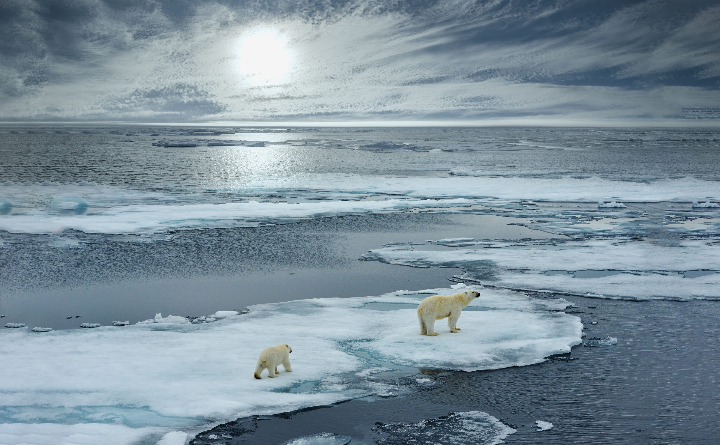 Svalbard © FloridaStock / Shutterstock