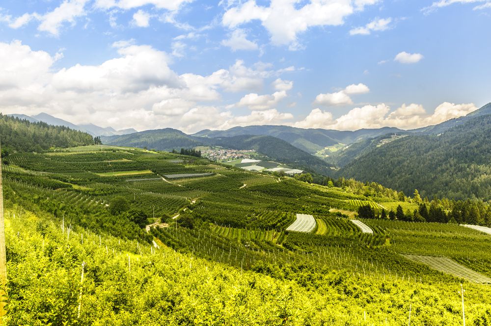 Val di Non, Italia guida ai luoghi da visitare Lonely Val di Non, Italia guida ai luoghi da visitare Lonely