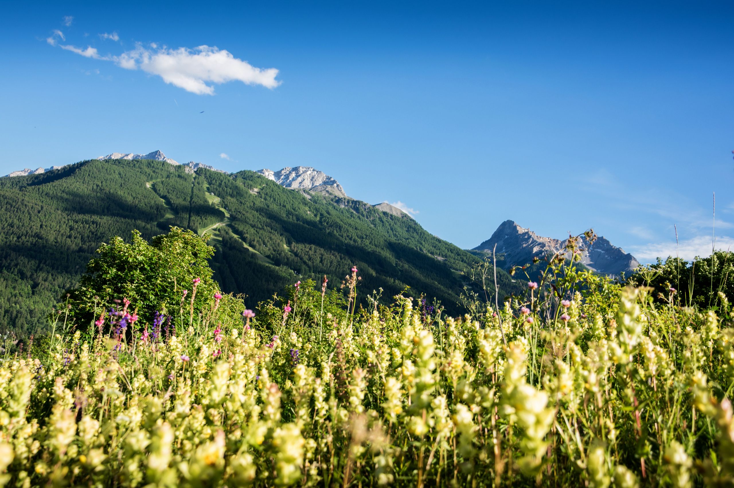 Valli Susa, Chisone, Pellice e Germanasca, Italia guida ai luoghi da