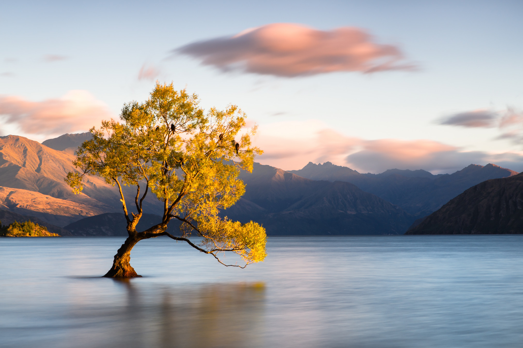 Helder Geraldo Ribeiro/Shutterstock