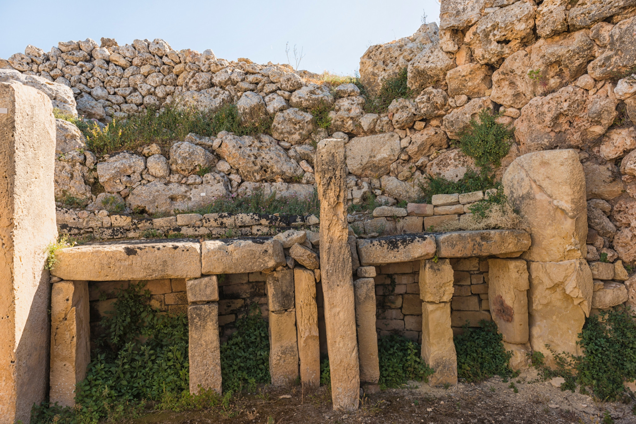 Xagħra