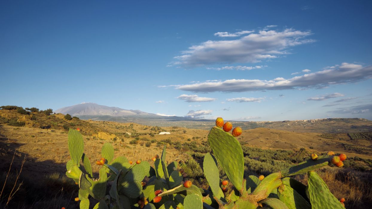 Foto - Entroterra siciliano ©Shutterstock