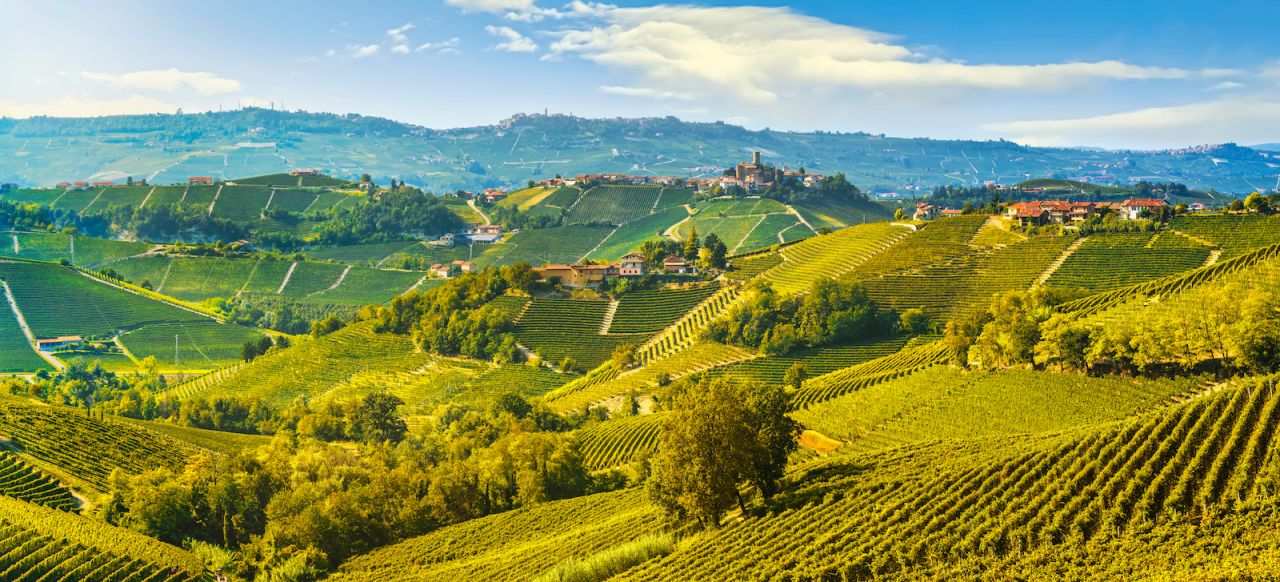 Foto - La meraviglia delle Langhe ©Shutterstock