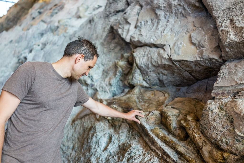 I fossili del Dinosaur National Monument sono davvero a portata di mano. © Kristi Blokhin / Shutterstock