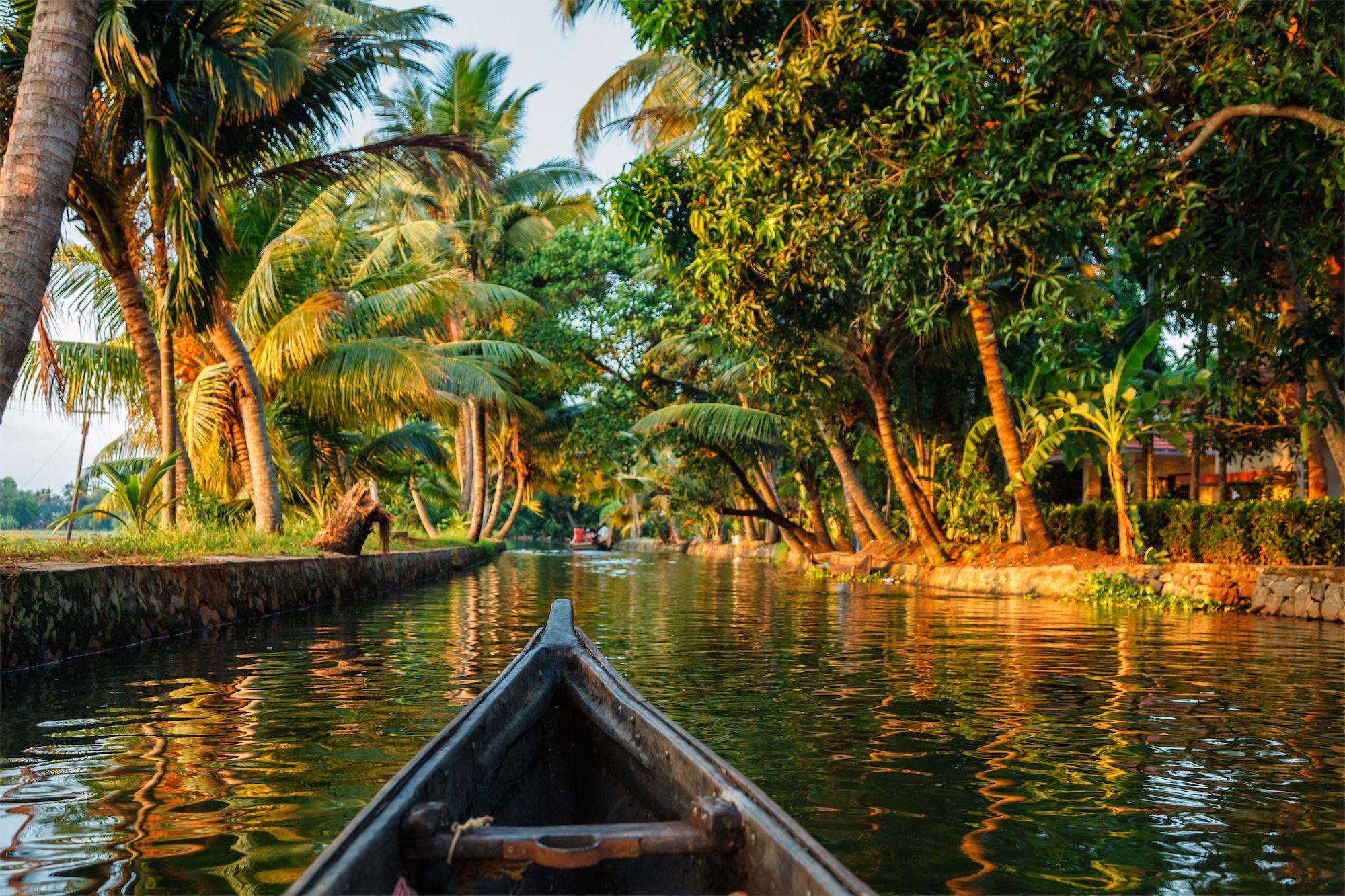 In Kerala è possibile navigare lungo i 900 km della rete di canali ©Dmitry Rukhlenko/Shutterstock