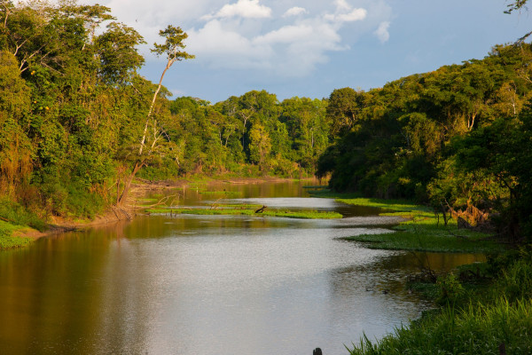 La Riserva indigena Sierra del Divisor Occidental si estende nelle regioni di Ucayali e Requena (Loreto), in Perù ©Danita Delimont