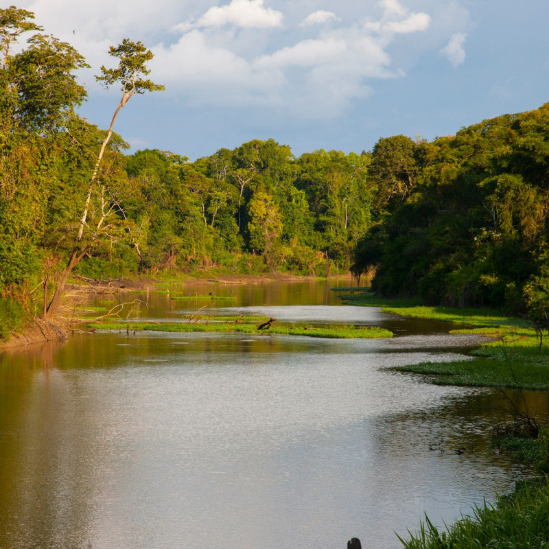 La Riserva indigena Sierra del Divisor Occidental si estende nelle regioni di Ucayali e Requena (Loreto), in Perù ©Danita Delimont
