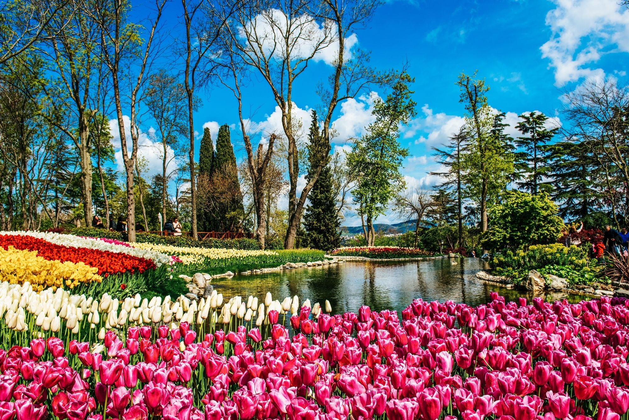 A Istanbul la primavera arriva con il festival dei tulipani ©Roxana Bashyrova / Shutterstock