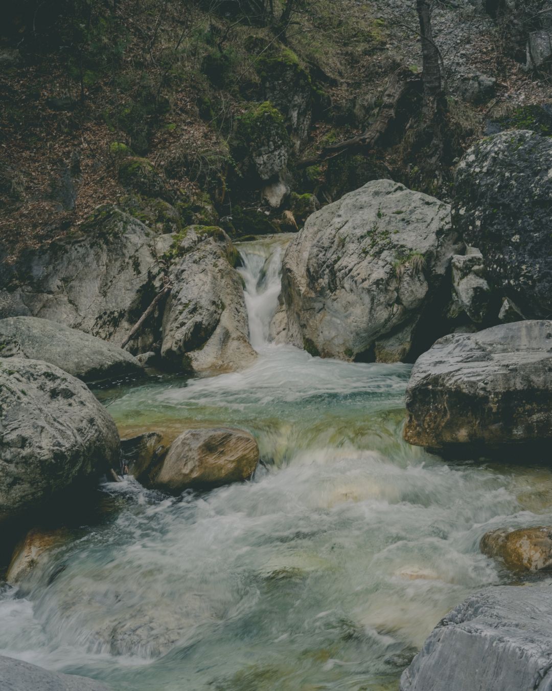 Il fiume che da secoli scava il canyon di Pozar ©Lorenzo Romani