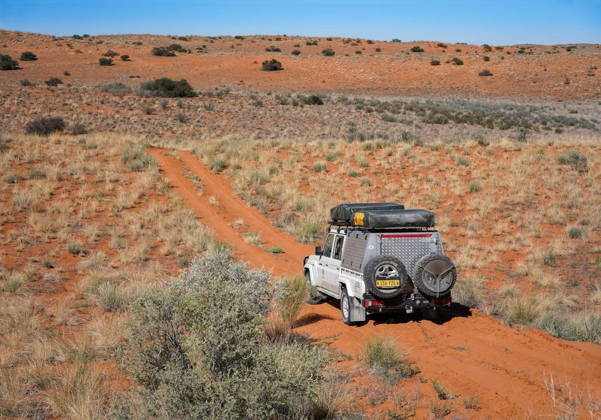 Un camion safari nel Parco Transfrontaliero del Kgalagadi, in Sudafrica. WildSnap/Shutterstock