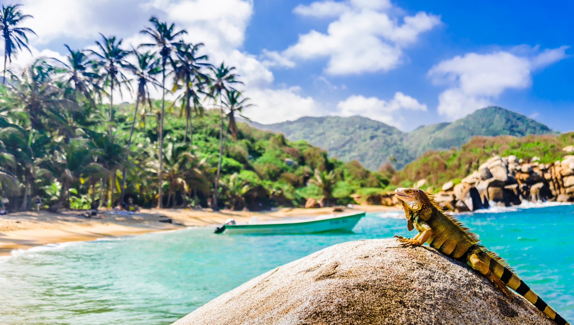 Un iguana prende il sole sulla spiaggia del Parque Nacional Natural Tayrona © streetflash / Shutterstock