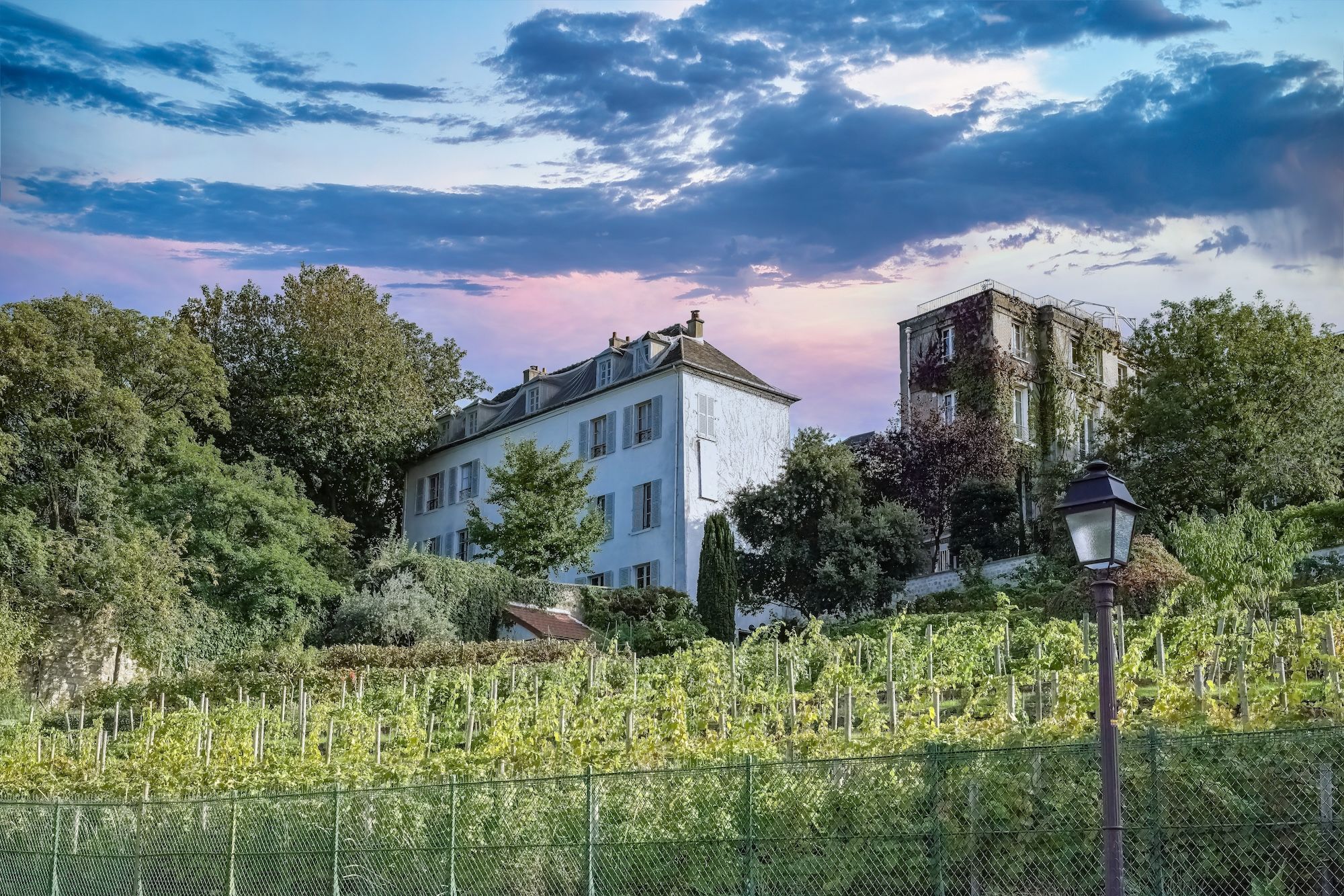 La vigna di Montmartre © Pascale Gueret /Shutterstock