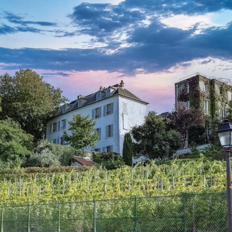 La vigna di Montmartre © Pascale Gueret /Shutterstock