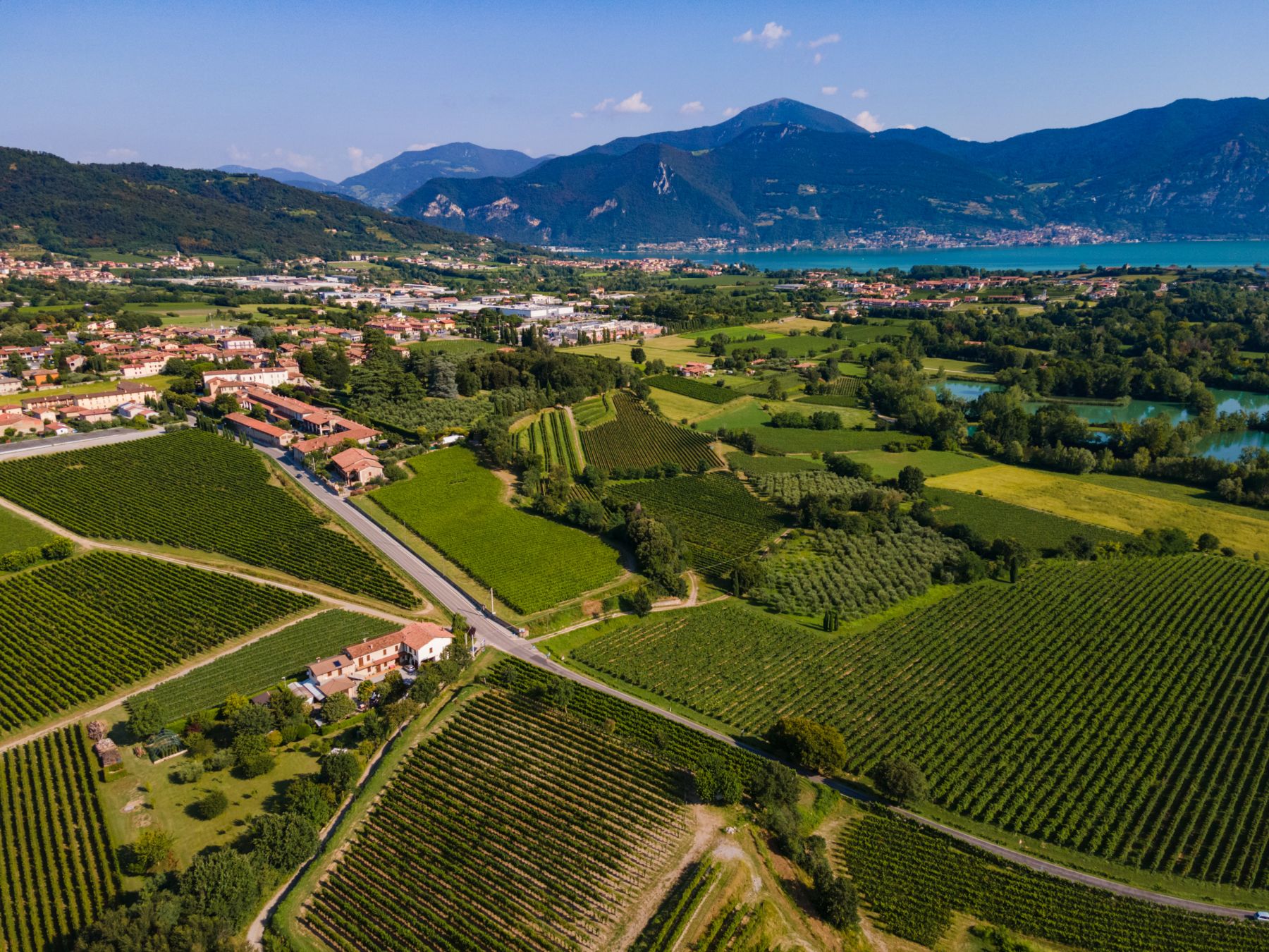 I vigneti della Franciacorta. Credits Visit Brescia