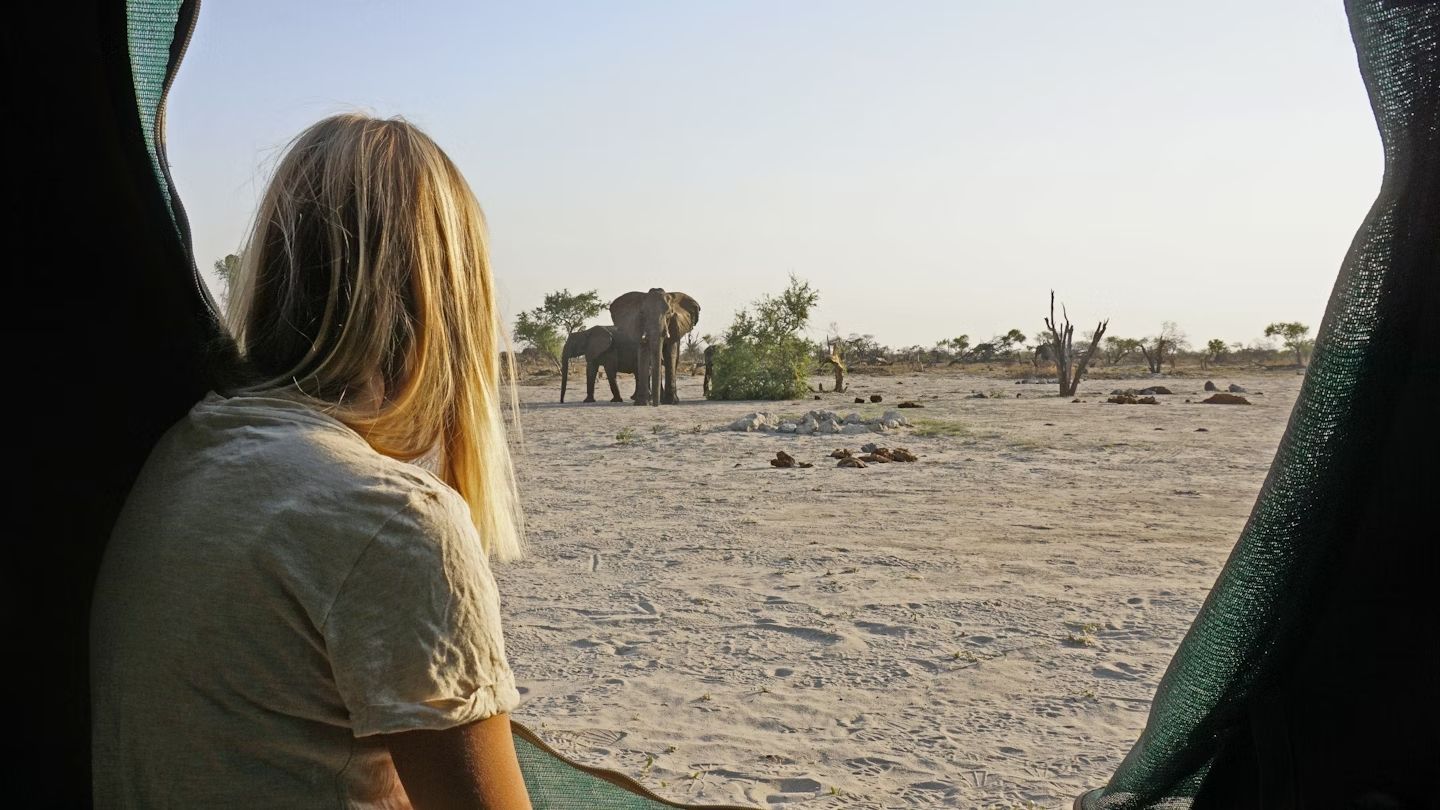 Gli elefanti a pochi passi: è la magia del Botswana © wetraveltolive / Shutterstock