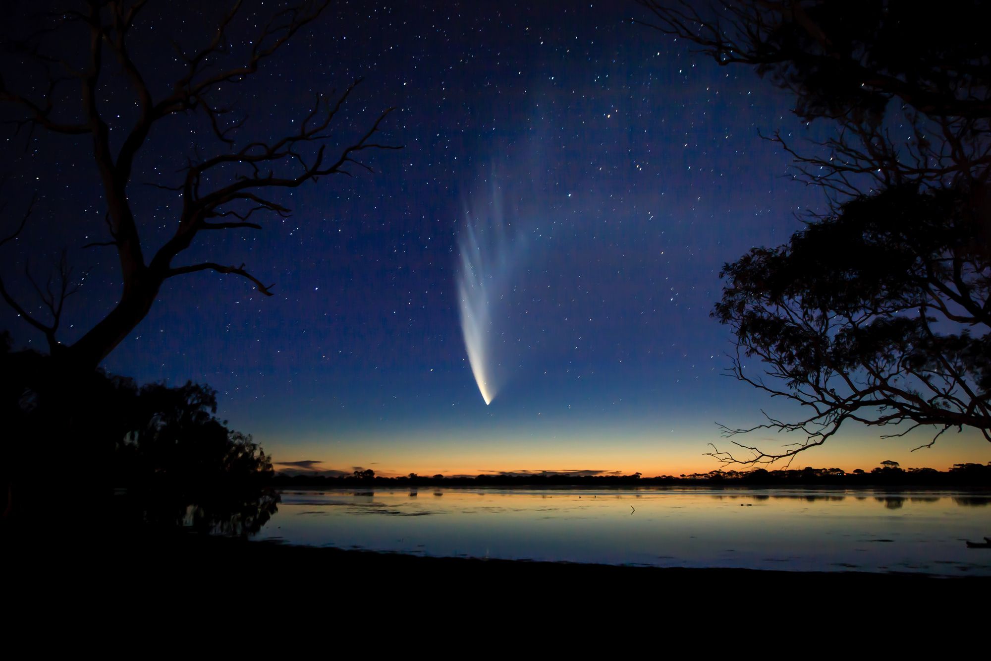 Nel 2025, occhi al cielo ©John White Photos/Getty Images
