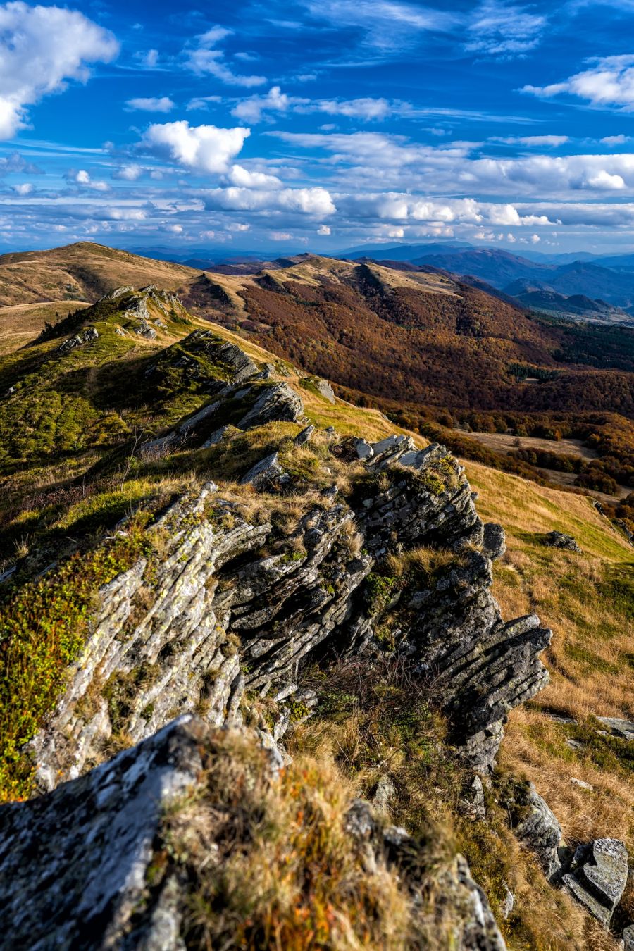Il paesaggio sui Monti Bieszczady © bieszczady_wildlife / Shutterstock