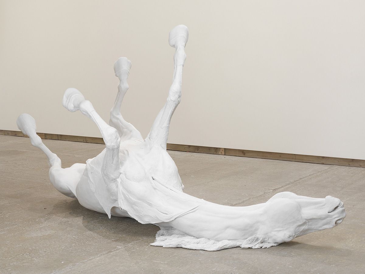 Stallion di Daphne Wright, una delle opere dalla mostra Hot Spot. Credits Stephen White