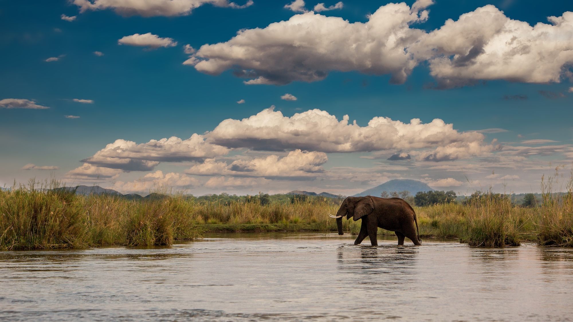 Non esiste un luogo migliore per una spedizione in canoa dello Zambesi ©Thomas Retterath/Shutterstock